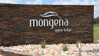 Mongena Game Lodge | Dinokeng Game Reserve Accommodation