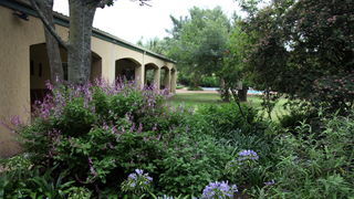 Robin's Roost | Lanseria Accommodation