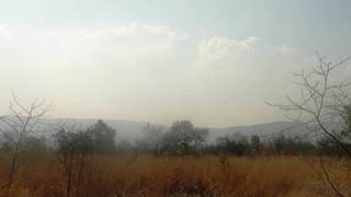 TwentyOne Bush Farm | Hekpoort Self-catering