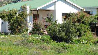 Storm Petrel | St Helena Bay Self-catering