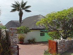 Palm Tree Cottage | Accommodation Westcliff (Hermanus)