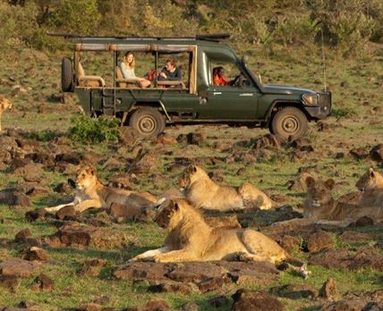 Offbeat Mara Camp