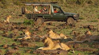 Offbeat Mara Camp | Accommodation Maasai Mara