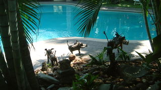 Loerie Lodge 'Corporate 'Guest House | Phalaborwa Accommodation