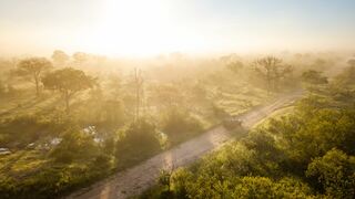 Shumbalala Game Lodge | Thornybush Game Reserve Accommodation