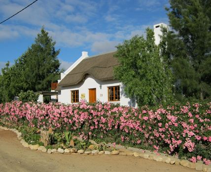 Karoo Cottage McGregor