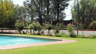 Big Tree B & B | Johannesburg Specials