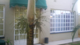 The Cottages & Backpackers - Ballito | Accommodation Ballito