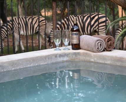 Getaway Bush Marloth Park