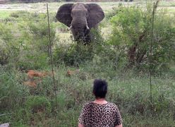 Getaway Bush Marloth Park | Marloth Park Accommodation