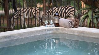 Getaway Bush Marloth Park | Accommodation Marloth Park
