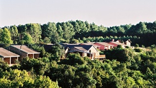 Misty Mountain | Sabie Accommodation
