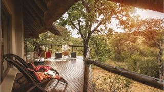Tuningi Safari Lodge | Madikwe Game Reserve Accommodation