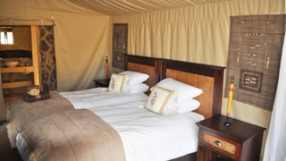 Dabchick | Accommodation Rankins Pass