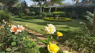 Royal Ridge Guest House | Waterkloof Ridge Accommodation