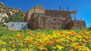 Jakkalswater Gasteplaas | Nababeep Accommodation