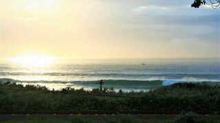 PawPaw Place | Melville Self-catering