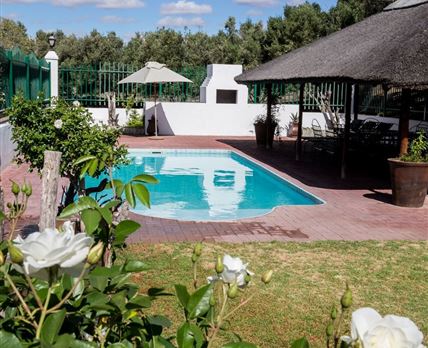 Olive Grove Guest Farm