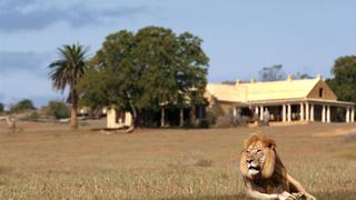 Gorah Elephant Camp | Addo Elephant National Park Accommodation
