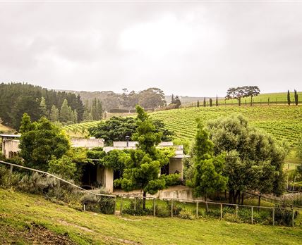 Earth Cottage Hermanus