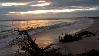 Pomene Ridge | Pomene Bay Accommodation