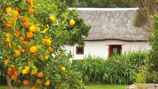 Kapteinskloof Guest House | Accommodation Piketberg