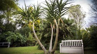 Sunbird Guest House | Self-catering Howick