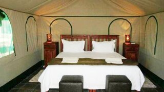Puruma Pride | Viljoenskroon Accommodation