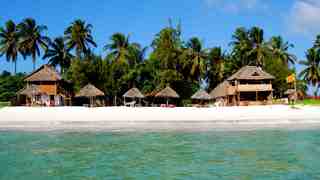 Makuti Beach Hotel and Bungalows | Bwejuu Accommodation