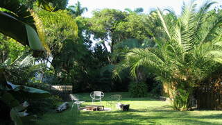 Elephant Walk | Phalaborwa Accommodation