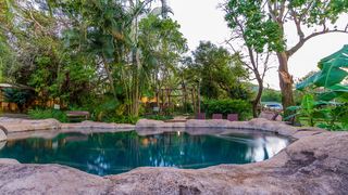 Gecko Lodge | Accommodation Hazyview