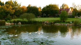 Delagoa Cottage | Accommodation Dullstroom
