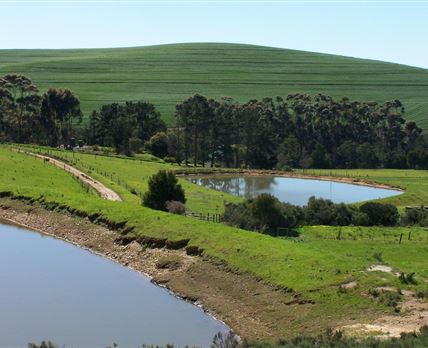 Taim-Go-Loer Private Guest Farm