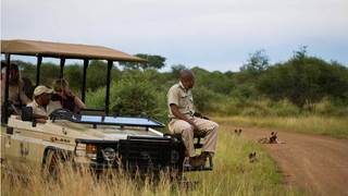Buffalo Ridge Safari Lodge | Accommodation Madikwe Game Reserve