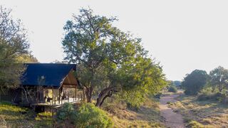 Garonga Safari Camp | Accommodation Makalali Private Game Reserve