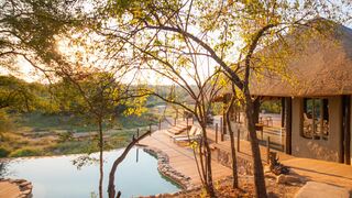 Garonga Safari Camp | Accommodation Makalali Private Game Reserve