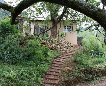 Magoebaskloof Birders' Cottages