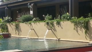 Aloe House Guest Lodge | Hermanus Accommodation