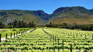 Stanford Hills Cottages | Accommodation Stanford