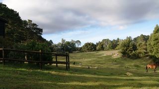 Angels Rest Farm | N2 Specials