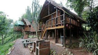 Treehouse River Lodge | Summerveld Accommodation