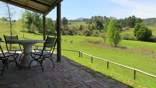 Zebra Cottage | Accommodation Stellenbosch