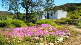 Skilpadkloof Farm Cottages | Ladismith Accommodation