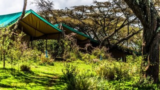 Ang'ata Ngorongoro | Accommodation Ngorongoro Crater Conservancy