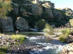 Lupela Nature Reserve | Lady Grey Accommodation
