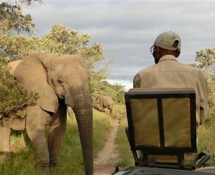 KwaMbili Game Lodge