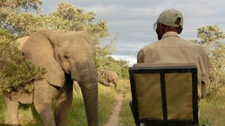 KwaMbili Game Lodge | Accommodation Thornybush Game Reserve