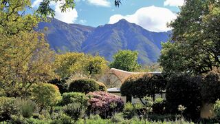 Bukkenburg Pottery Studio and Guest Cottage | Accommodation Swellendam