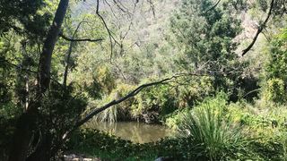 Krugerskop Kloof Bushcamp | Accommodation Patensie