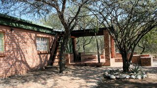 Bushbaby Eden | Marloth Park Accommodation